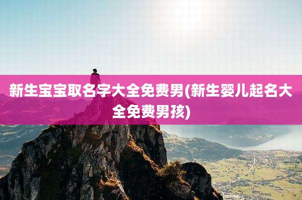 新生宝宝取名字大全免费男(新生婴儿起名大全免费男孩)