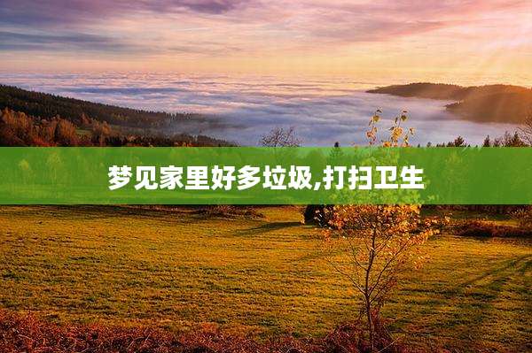 梦见家里好多垃圾,打扫卫生