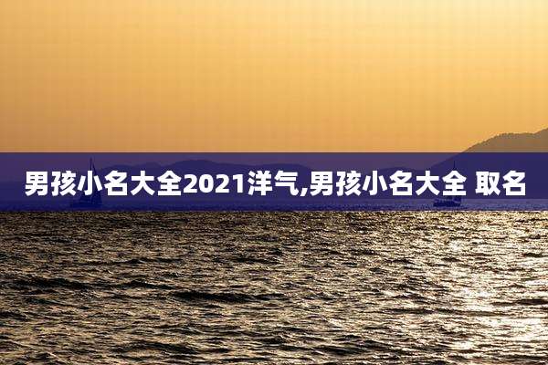 男孩小名大全2021洋气,男孩小名大全 取名
