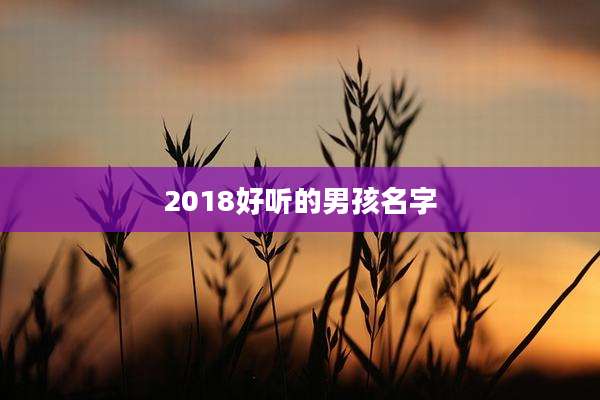 2018好听的男孩名字