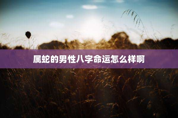 属蛇的男性八字命运怎么样啊