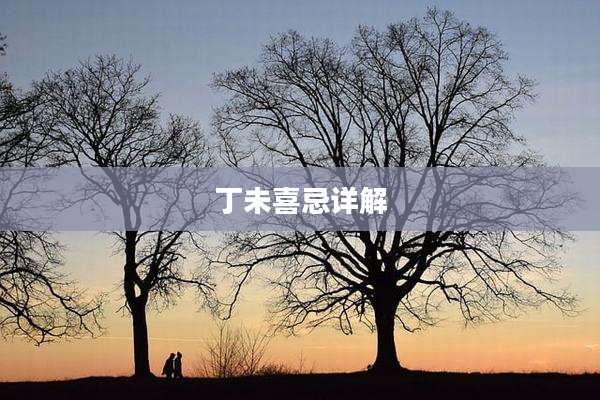 丁未喜忌详解