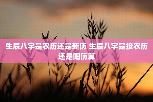 生辰八字是农历还是新历 生辰八字是按农历还是阳历算