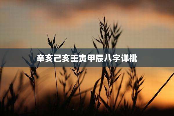 辛亥己亥壬寅甲辰八字详批