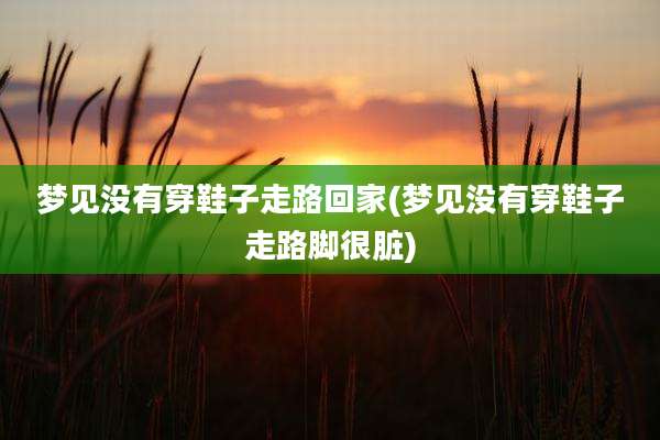 梦见没有穿鞋子走路回家(梦见没有穿鞋子走路脚很脏)