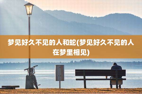 梦见好久不见的人和蛇(梦见好久不见的人在梦里相见)