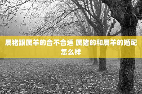 属猪跟属羊的合不合适 属猪的和属羊的婚配怎么样