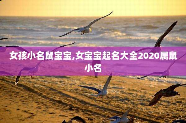 女孩小名鼠宝宝,女宝宝起名大全2020属鼠小名