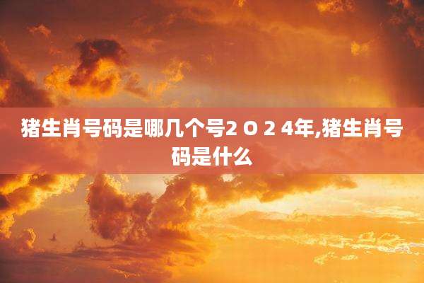 猪生肖号码是哪几个号2 O 2 4年,猪生肖号码是什么