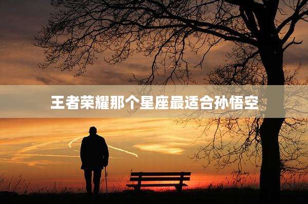 王者荣耀那个星座最适合孙悟空