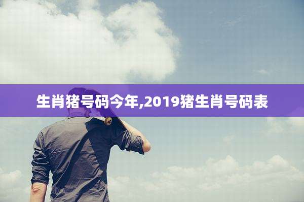 生肖猪号码今年,2019猪生肖号码表
