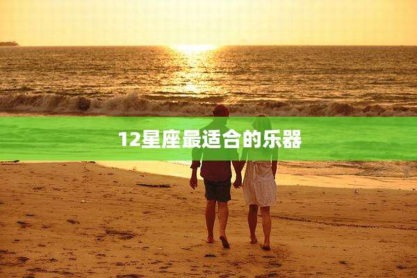 12星座最适合的乐器