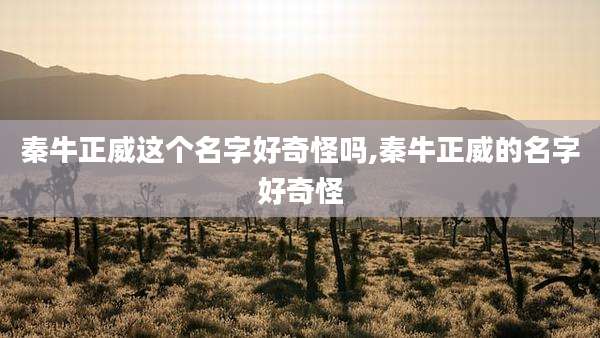 秦牛正威这个名字好奇怪吗,秦牛正威的名字好奇怪