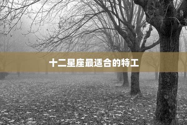 十二星座最适合的特工