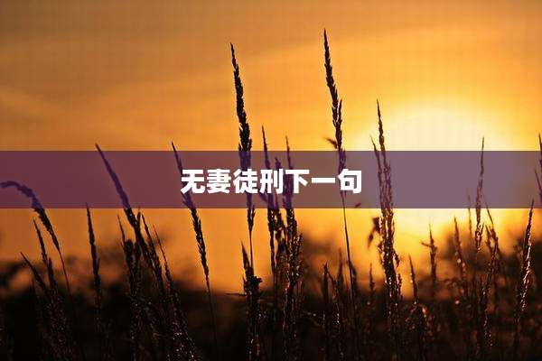 无妻徒刑下一句