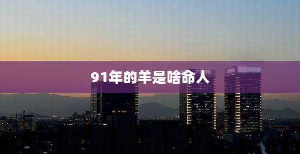91年的羊是啥命人
