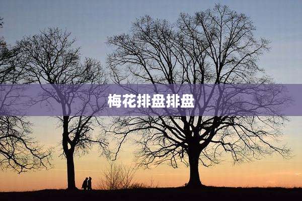 梅花排盘排盘