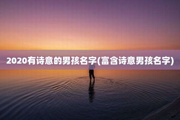 2020有诗意的男孩名字(富含诗意男孩名字)