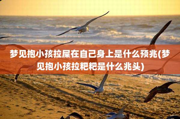 梦见抱小孩拉屎在自己身上是什么预兆(梦见抱小孩拉粑粑是什么兆头)