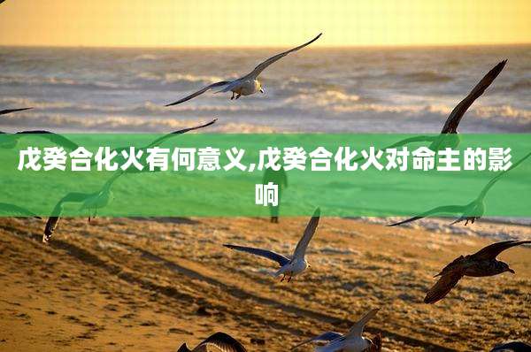 戊癸合化火有何意义,戊癸合化火对命主的影响