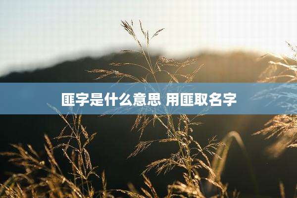 匪字是什么意思 用匪取名字