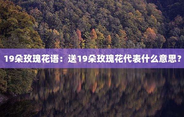19朵玫瑰花语：送19朵玫瑰花代表什么意思？