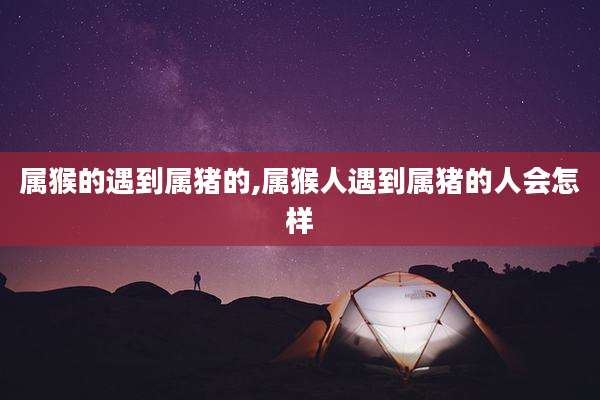 属猴的遇到属猪的,属猴人遇到属猪的人会怎样