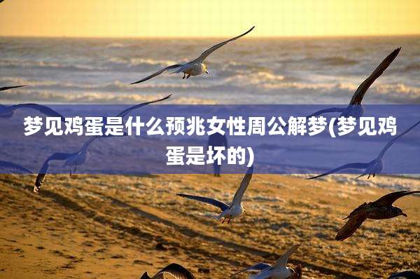 梦见鸡蛋是什么预兆女性周公解梦(梦见鸡蛋是坏的)