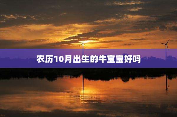 农历10月出生的牛宝宝好吗