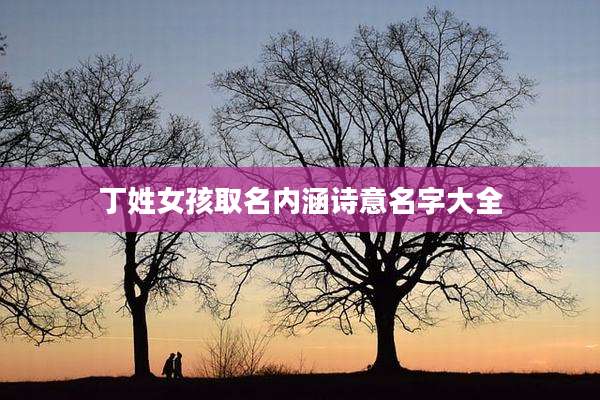丁姓女孩取名内涵诗意名字大全