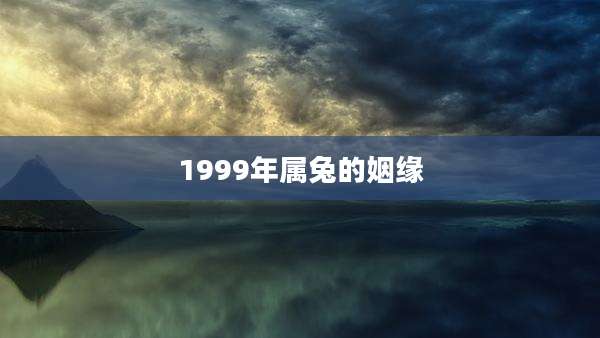 1999年属兔的姻缘