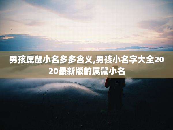 男孩属鼠小名多多含义,男孩小名字大全2020最新版的属鼠小名