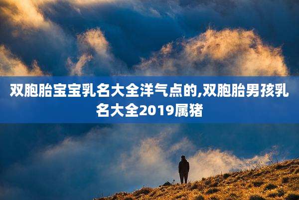 双胞胎宝宝乳名大全洋气点的,双胞胎男孩乳名大全2019属猪
