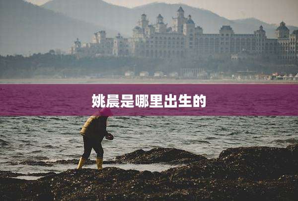 姚晨是哪里出生的