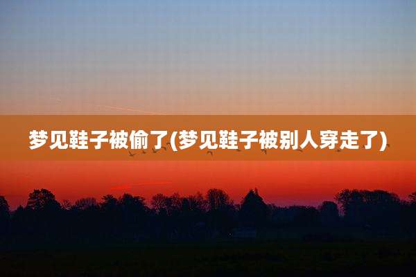 梦见鞋子被偷了(梦见鞋子被别人穿走了)