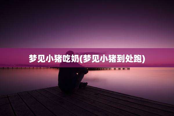梦见小猪吃奶(梦见小猪到处跑)