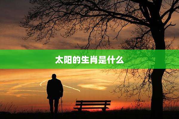 太阳的生肖是什么