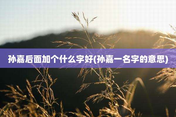 孙嘉后面加个什么字好(孙嘉一名字的意思)