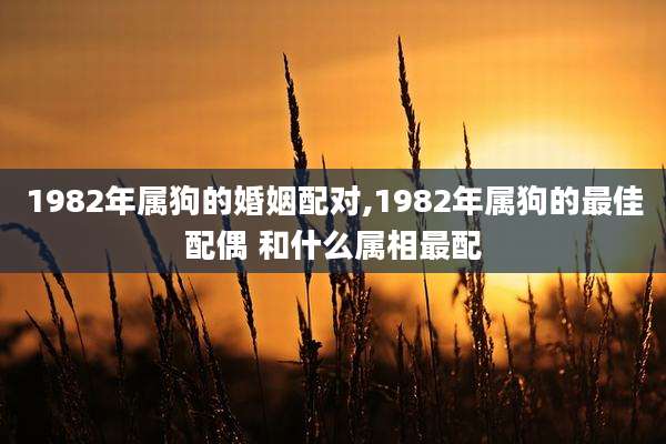 1982年属狗的婚姻配对,1982年属狗的最佳配偶 和什么属相最配