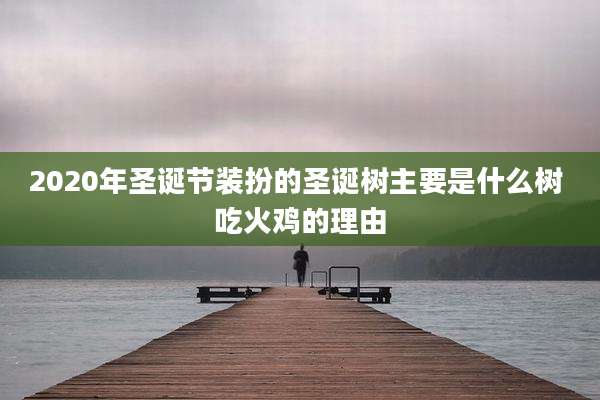 2020年圣诞节装扮的圣诞树主要是什么树 吃火鸡的理由