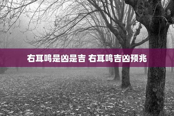 右耳鸣是凶是吉 右耳鸣吉凶预兆
