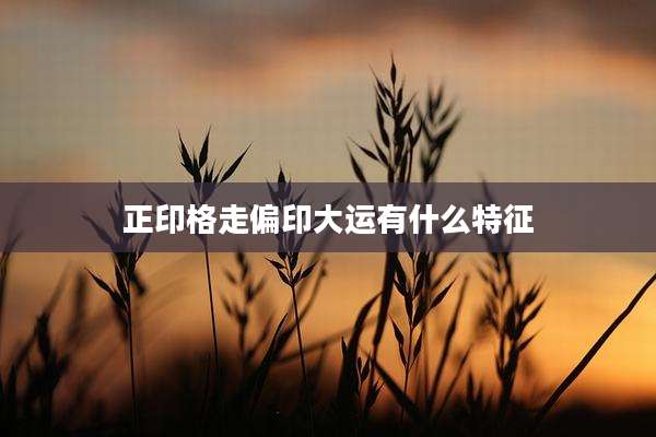 正印格走偏印大运有什么特征