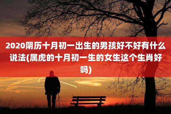 2020阴历十月初一出生的男孩好不好有什么说法(属虎的十月初一生的女生这个生肖好吗)