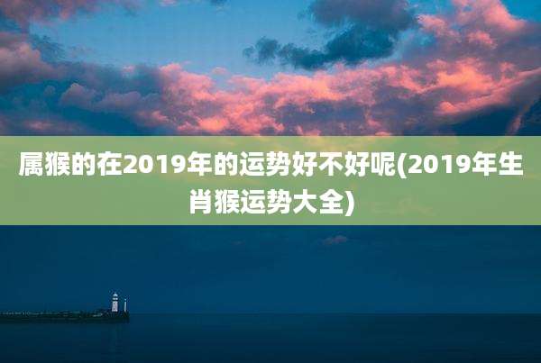 属猴的在2019年的运势好不好呢(2019年生肖猴运势大全)
