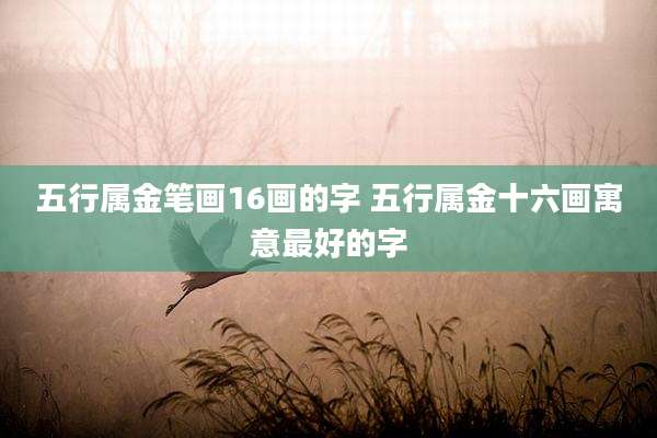 五行属金笔画16画的字 五行属金十六画寓意最好的字
