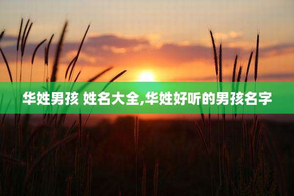 华姓男孩 姓名大全,华姓好听的男孩名字
