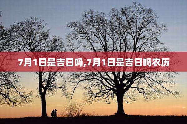 7月1日是吉日吗,7月1日是吉日吗农历