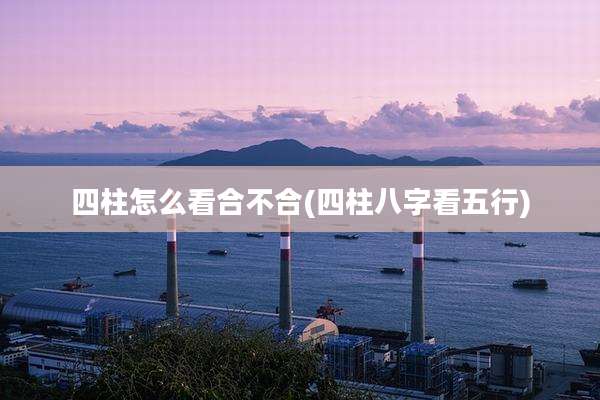 四柱怎么看合不合(四柱八字看五行)
