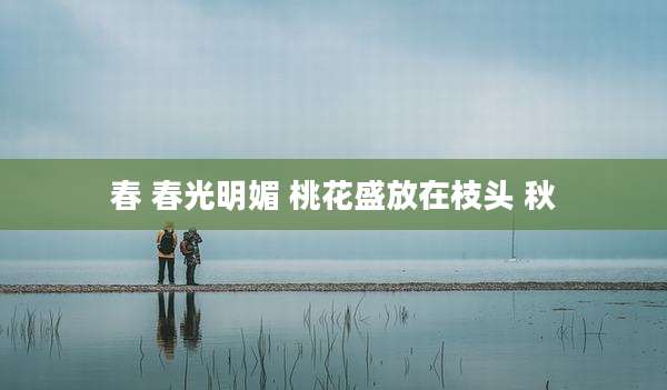 春 春光明媚 桃花盛放在枝头 秋