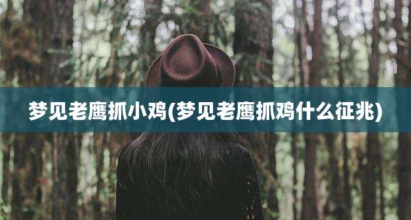 梦见老鹰抓小鸡(梦见老鹰抓鸡什么征兆)